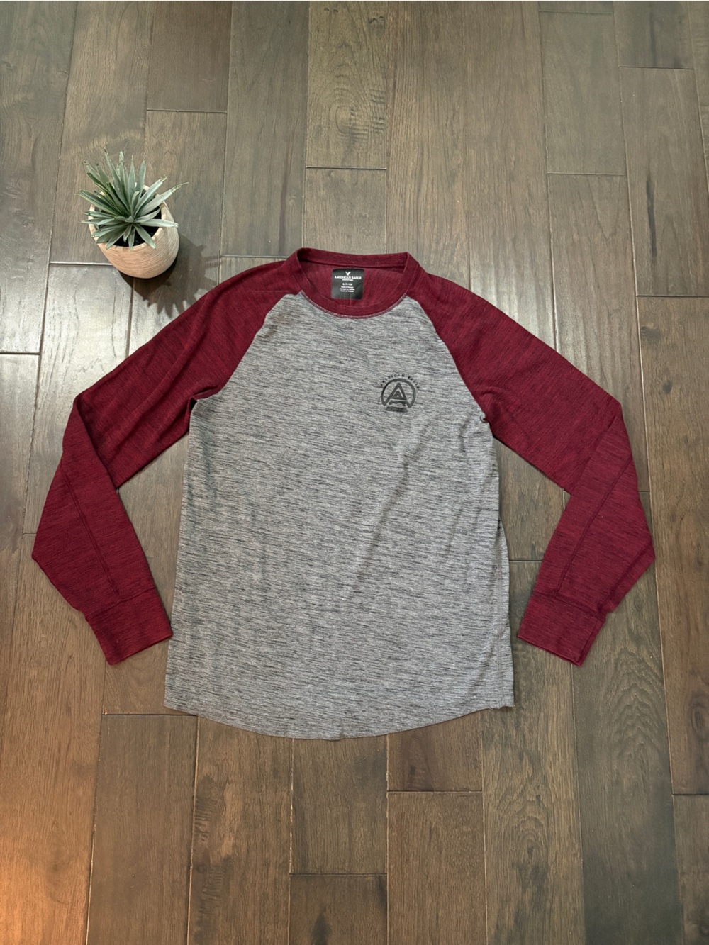 American Eagle Outfitters Grey and Burgundy Crewneck